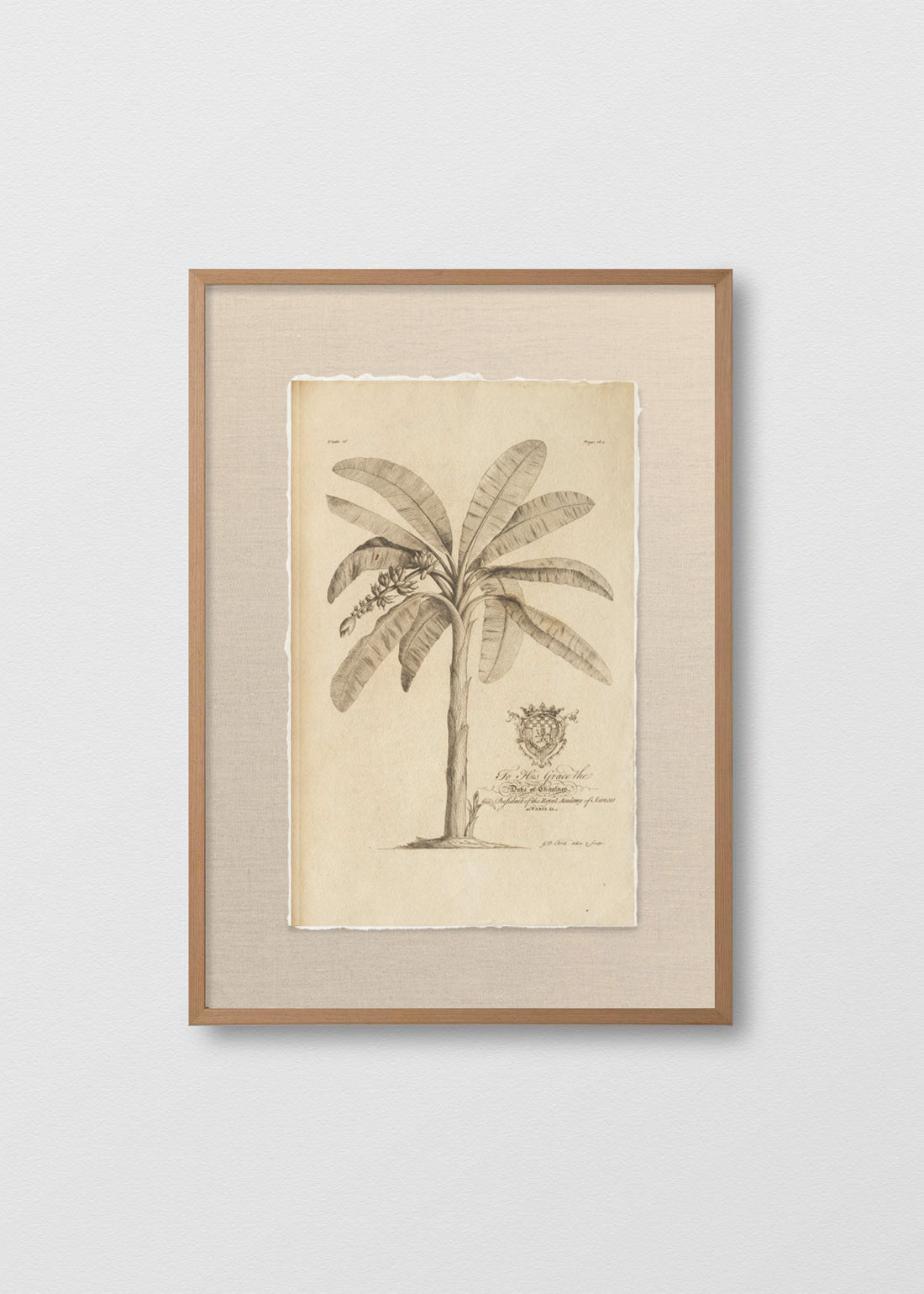 Cuadro Papiro Palmera Antigua II