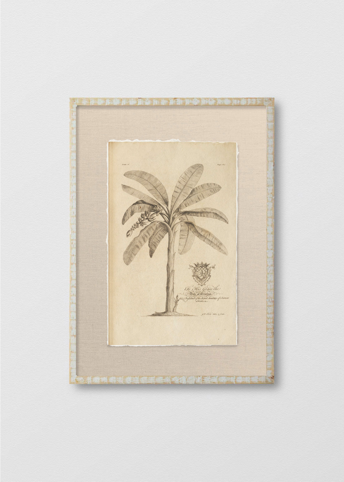 Cuadro Papiro Palmera Antigua II