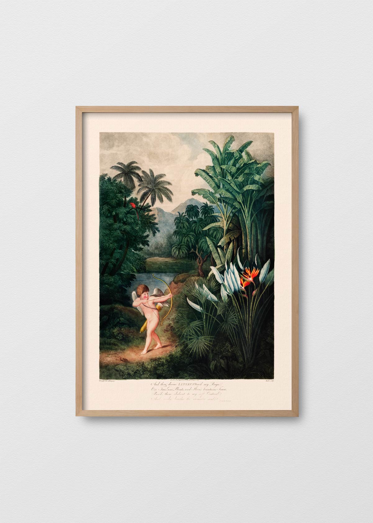 Cuadro Papel Algod n Cupido Testimonia cuadro-papel-algod-n-cupido-testimonia