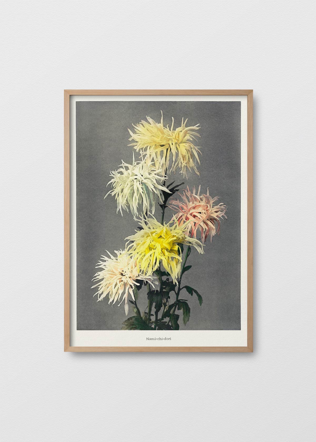 cuadro-nami-chi-dori-testimonia