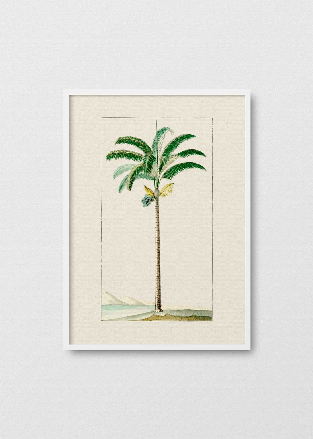 Palmera N1 - Testimoniaprints