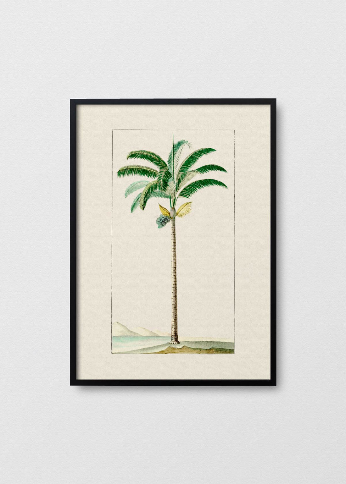 Palmera N1 - Testimoniaprints