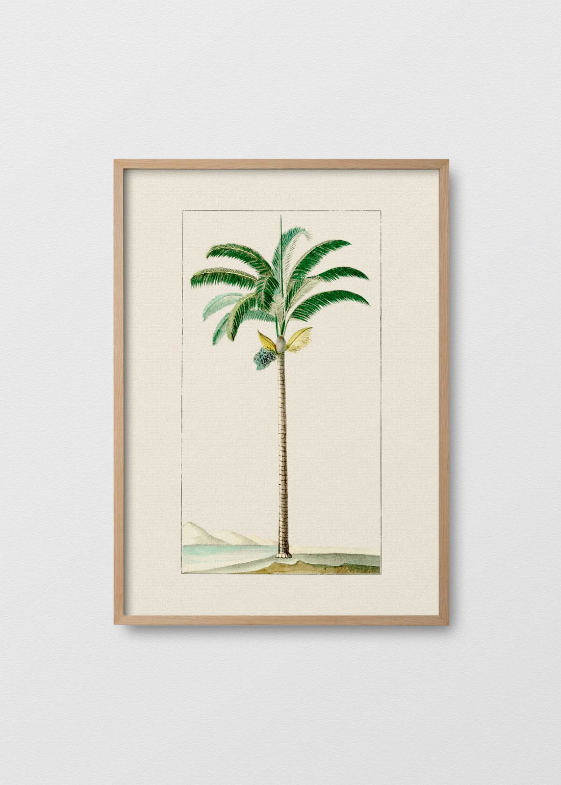 Palmera N1 - Testimoniaprints