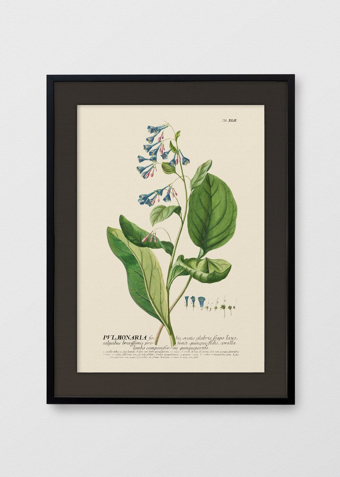 NEGRO LINO NEGRO