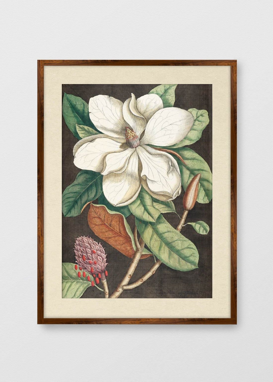 TINTE NOGAL BLANCO INVIERNO