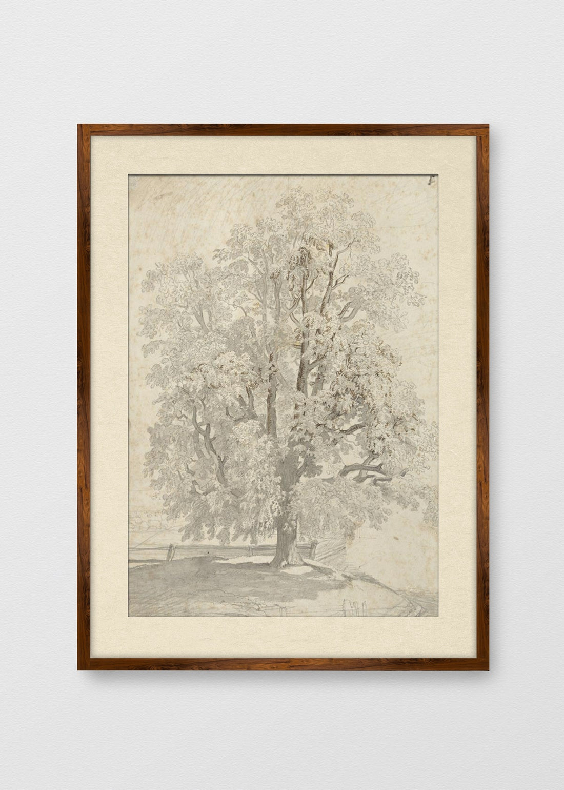 TINTE NOGAL BLANCO INVIERNO