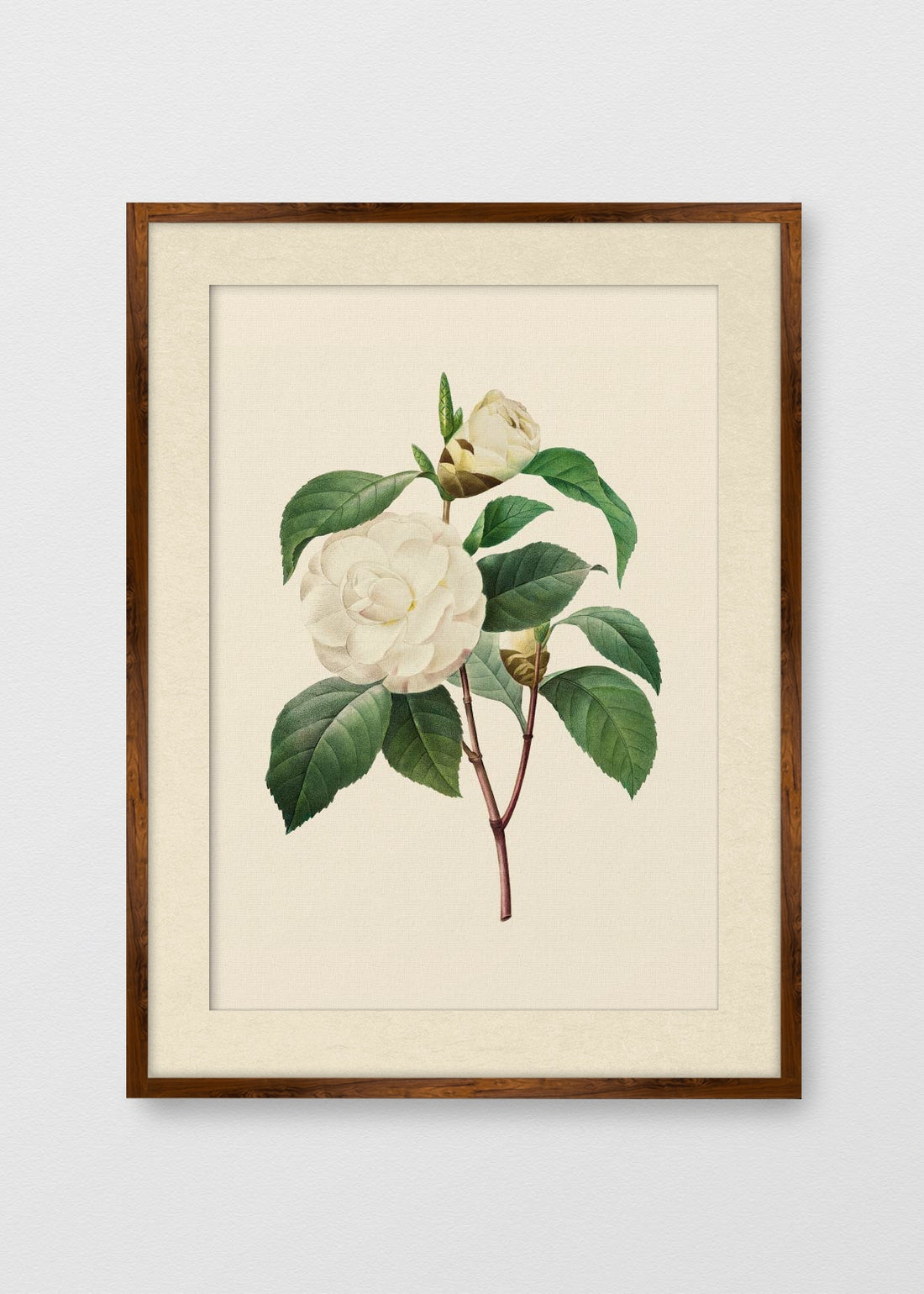 TINTE NOGAL BLANCO INVIERNO