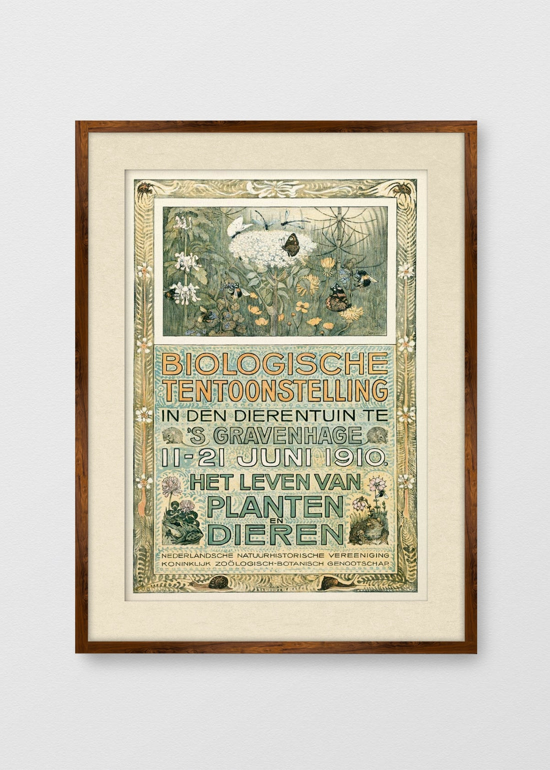 TINTE NOGAL BLANCO INVIERNO