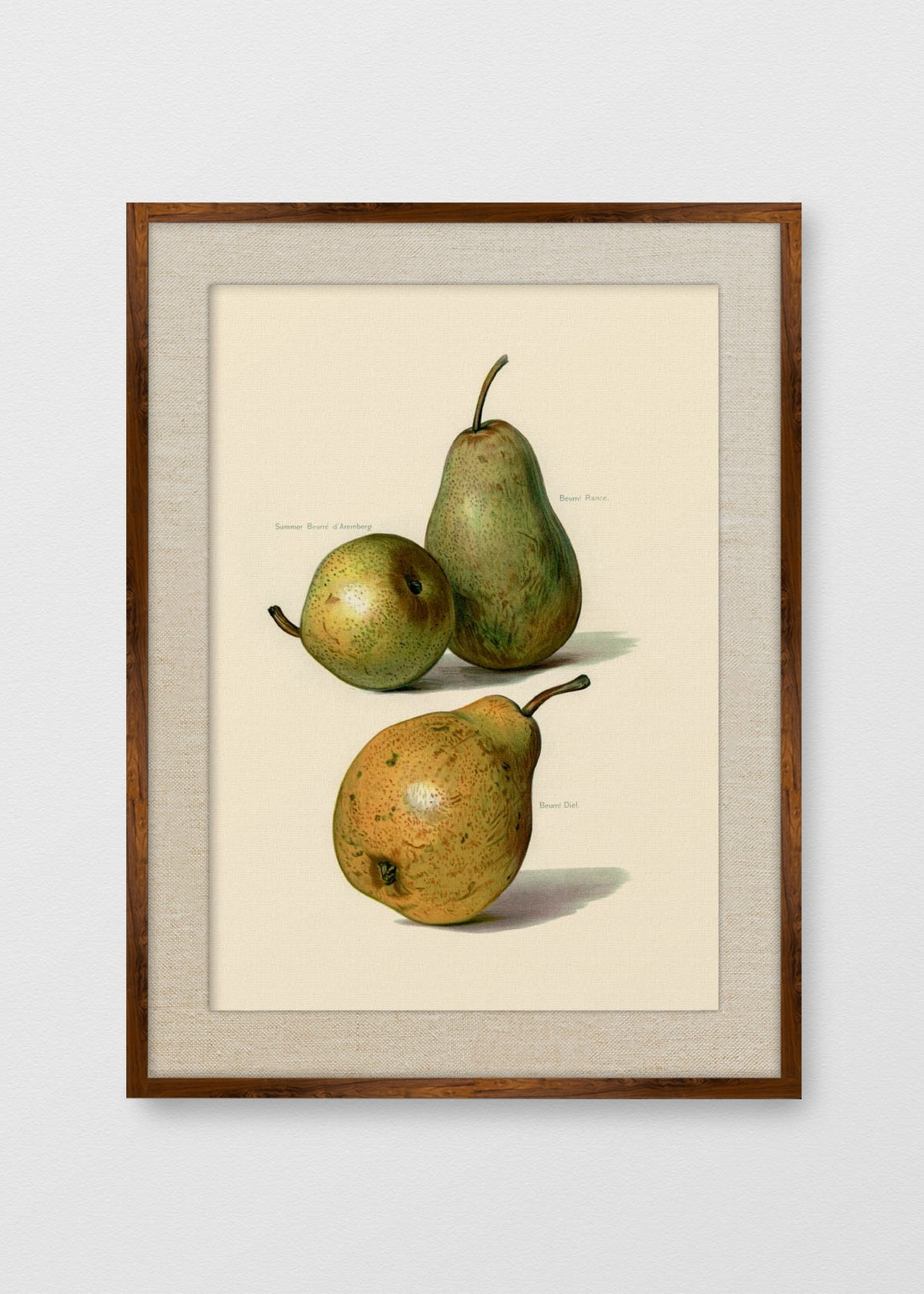 TINTE NOGAL LINO CRUDO
