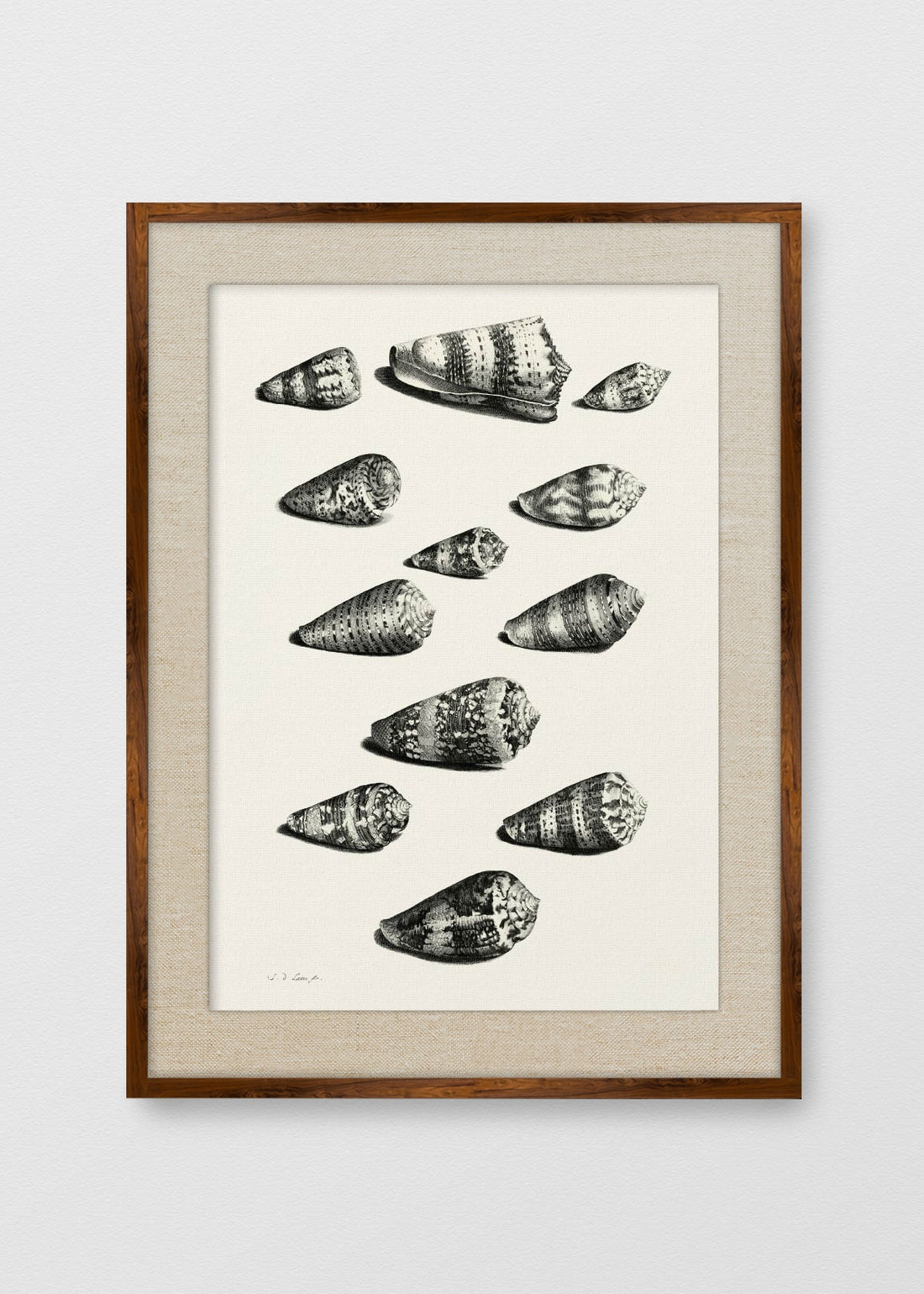 TINTE NOGAL LINO CRUDO