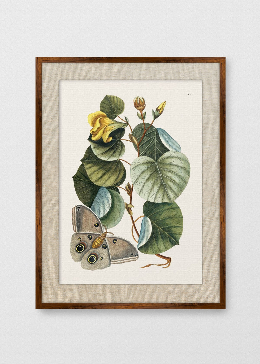 TINTE NOGAL LINO CRUDO