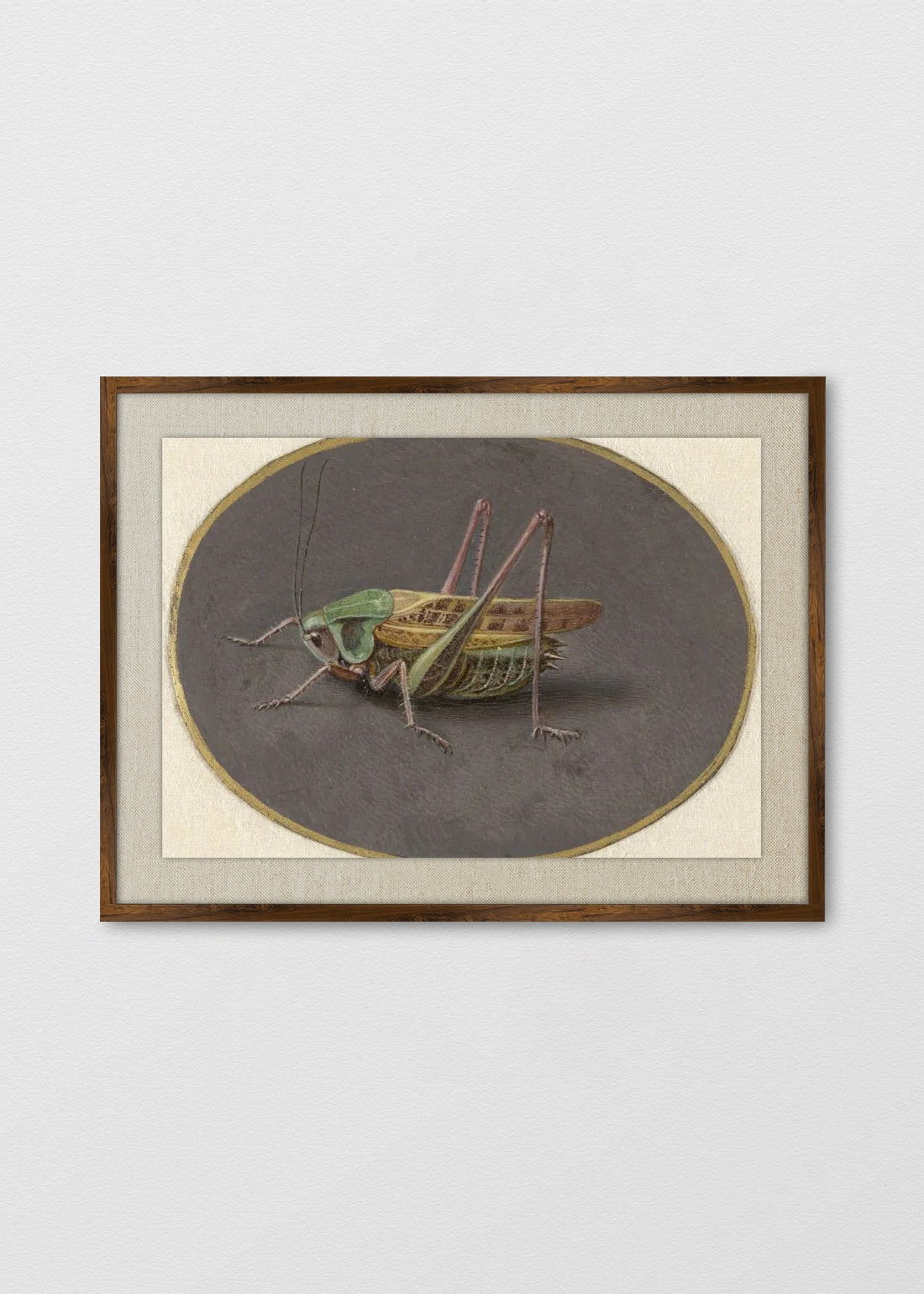 TINTE NOGAL LINO CRUDO