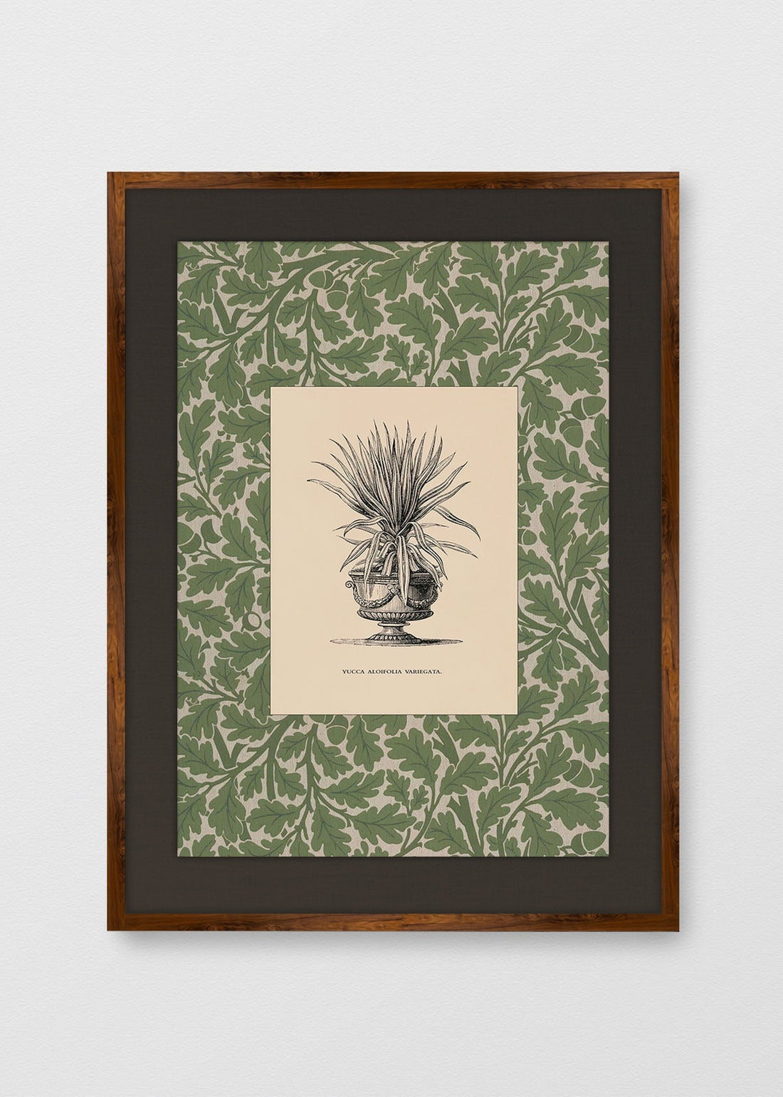 TINTE NOGAL LINO NEGRO