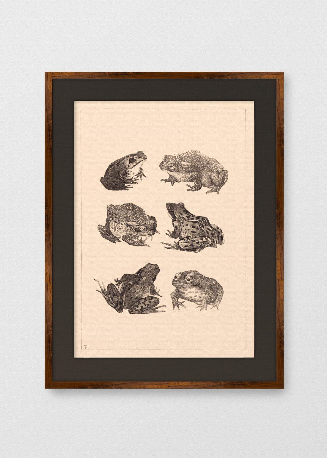 TINTE NOGAL LINO NEGRO