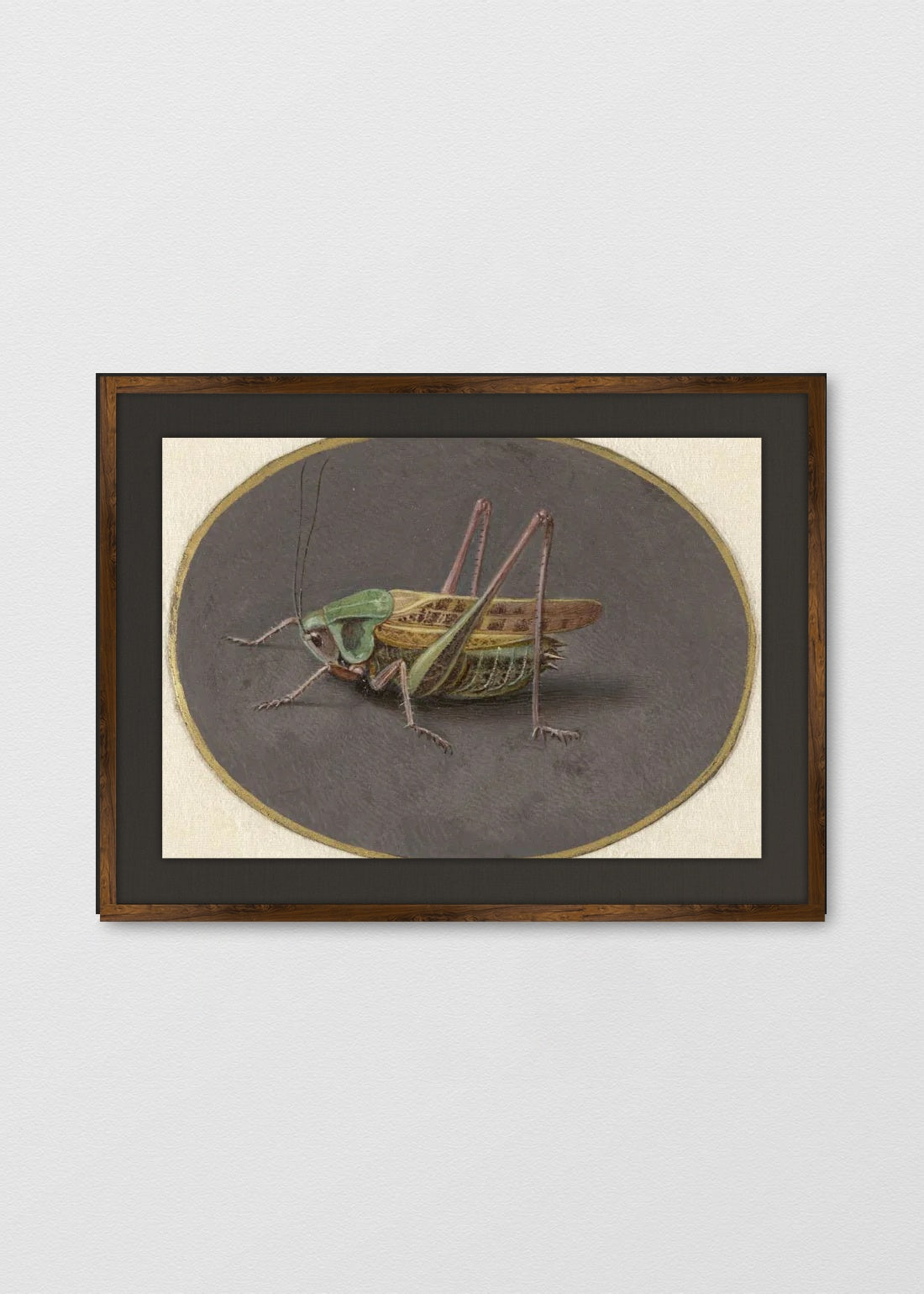 TINTE NOGAL LINO NEGRO