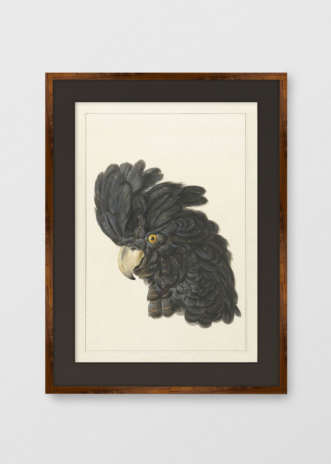 TINTE NOGAL LINO NEGRO