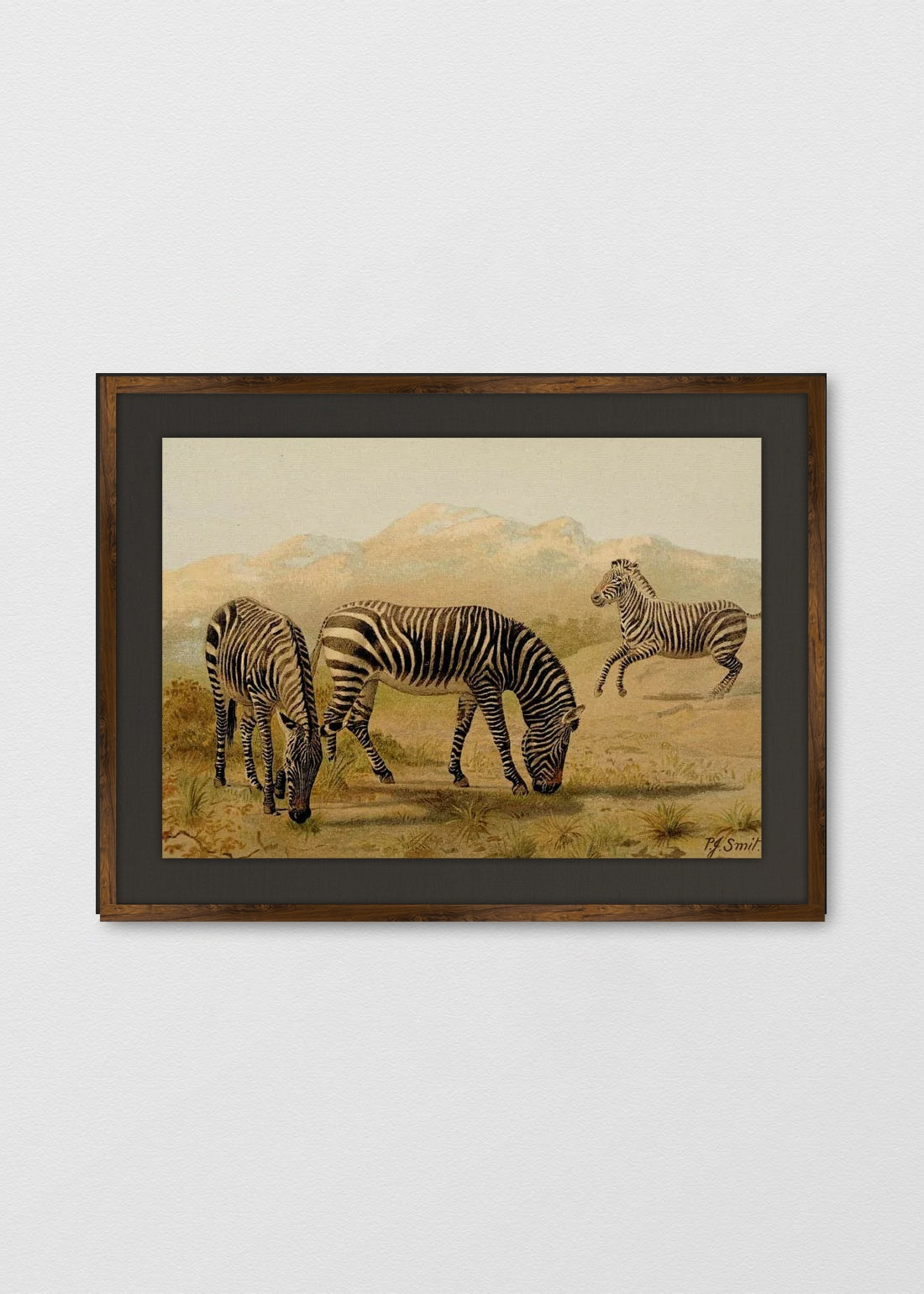 TINTE NOGAL LINO NEGRO
