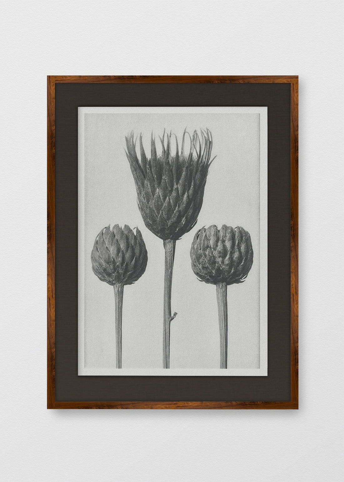 TINTE NOGAL LINO NEGRO