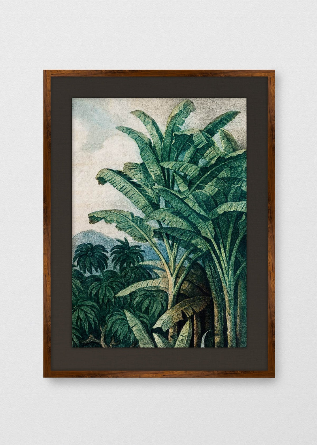 TINTE NOGAL LINO NEGRO
