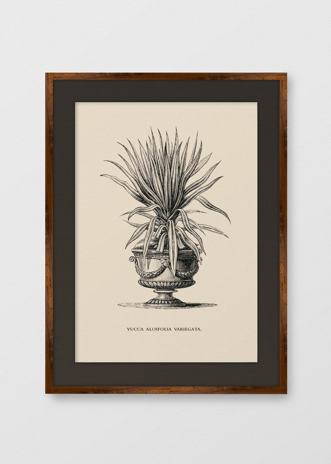 TINTE NOGAL LINO NEGRO