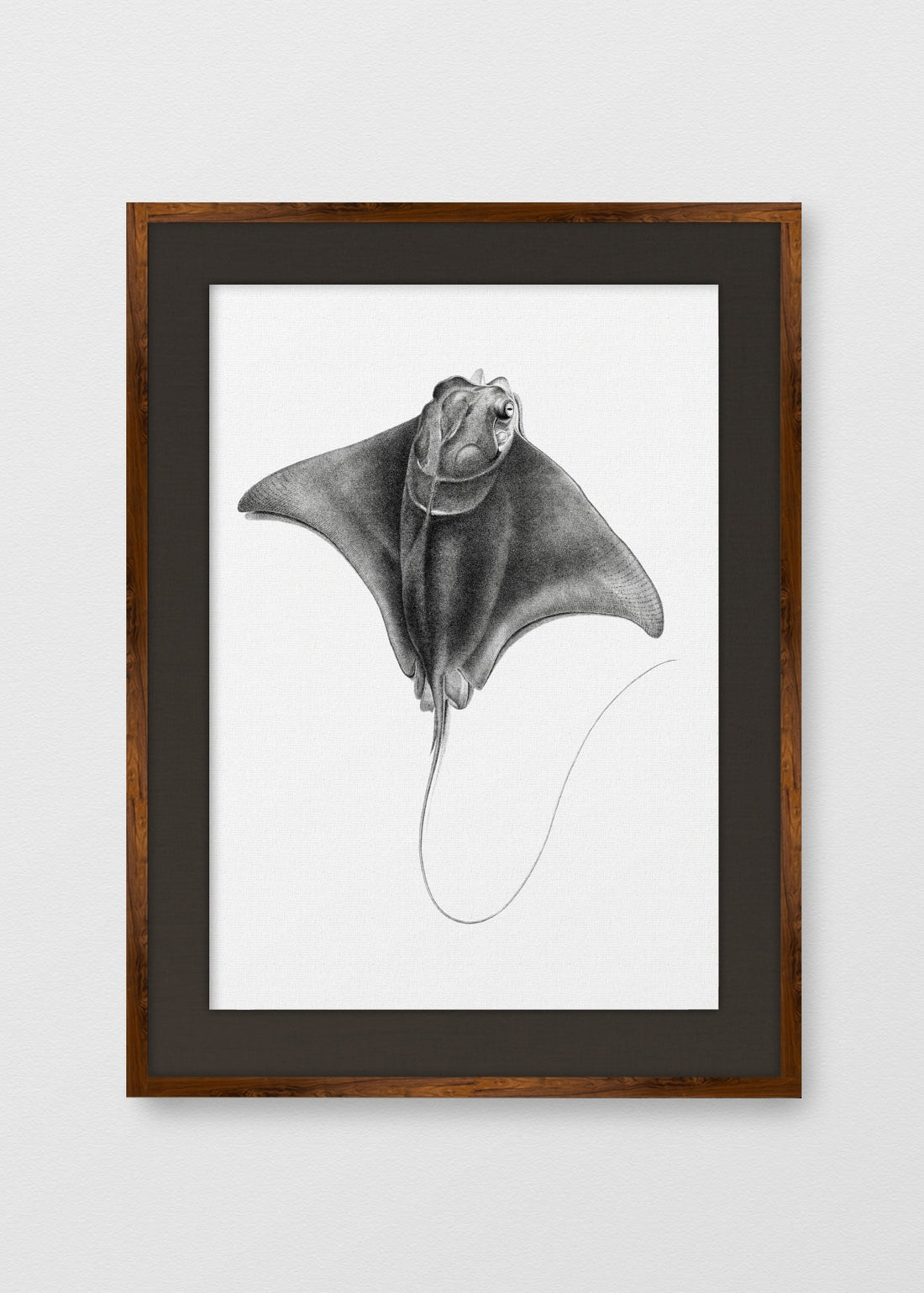 TINTE NOGAL LINO NEGRO