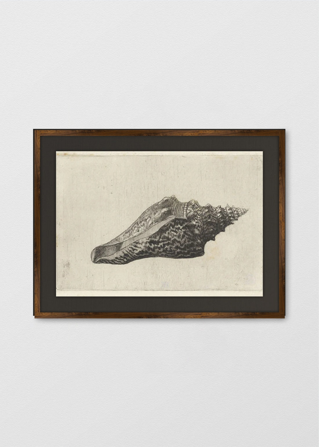 TINTE NOGAL LINO NEGRO