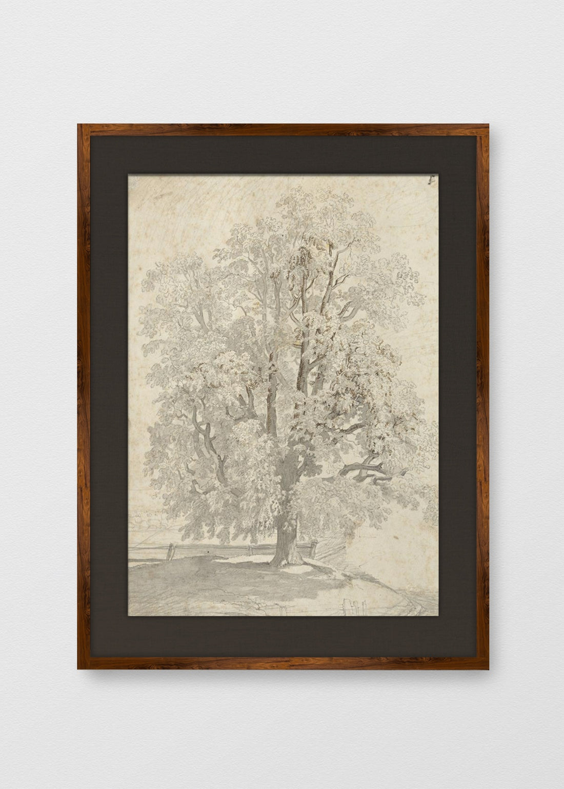 TINTE NOGAL LINO NEGRO