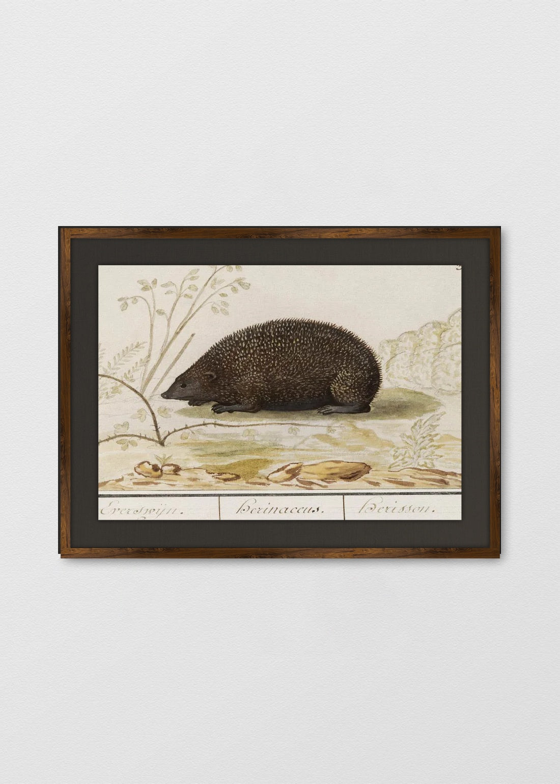 TINTE NOGAL LINO NEGRO