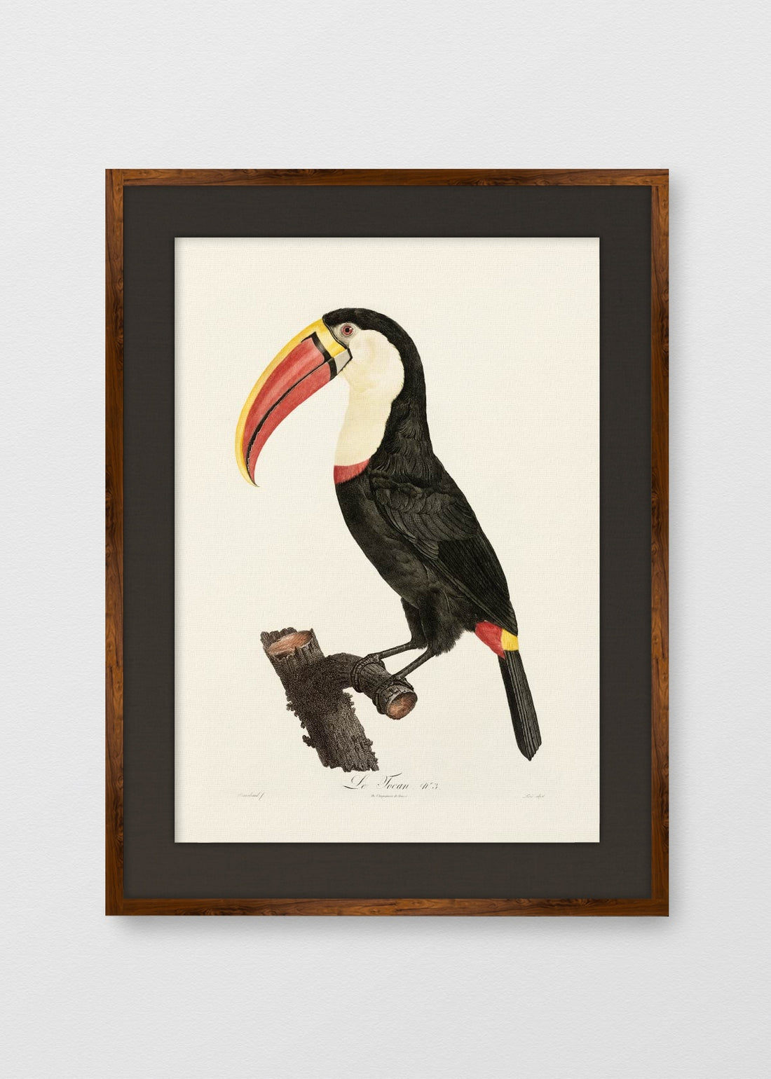 TINTE NOGAL LINO NEGRO