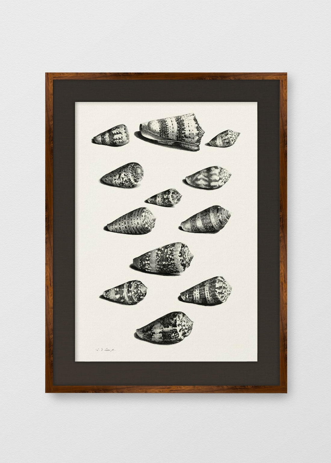 TINTE NOGAL LINO NEGRO