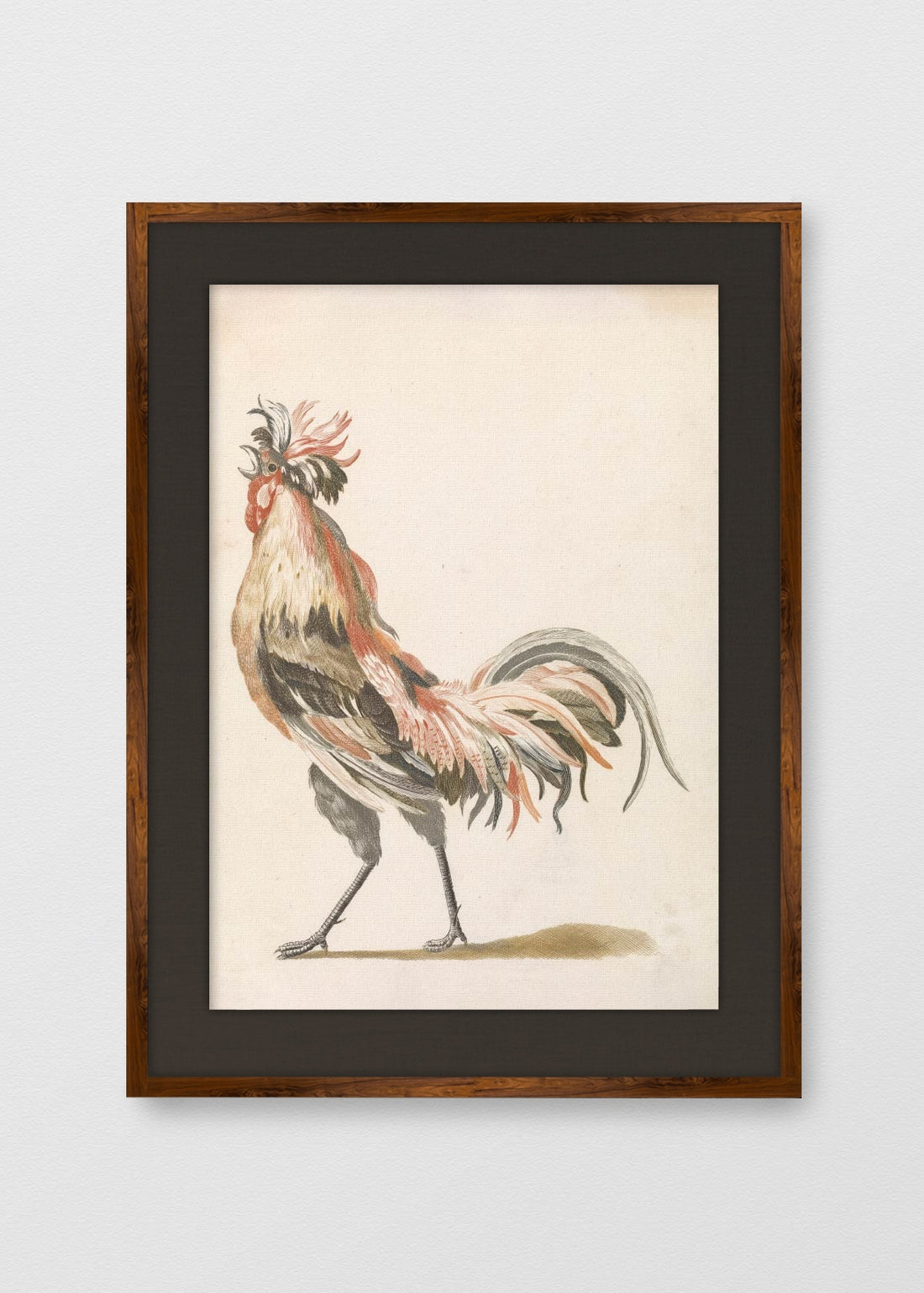 TINTE NOGAL LINO NEGRO