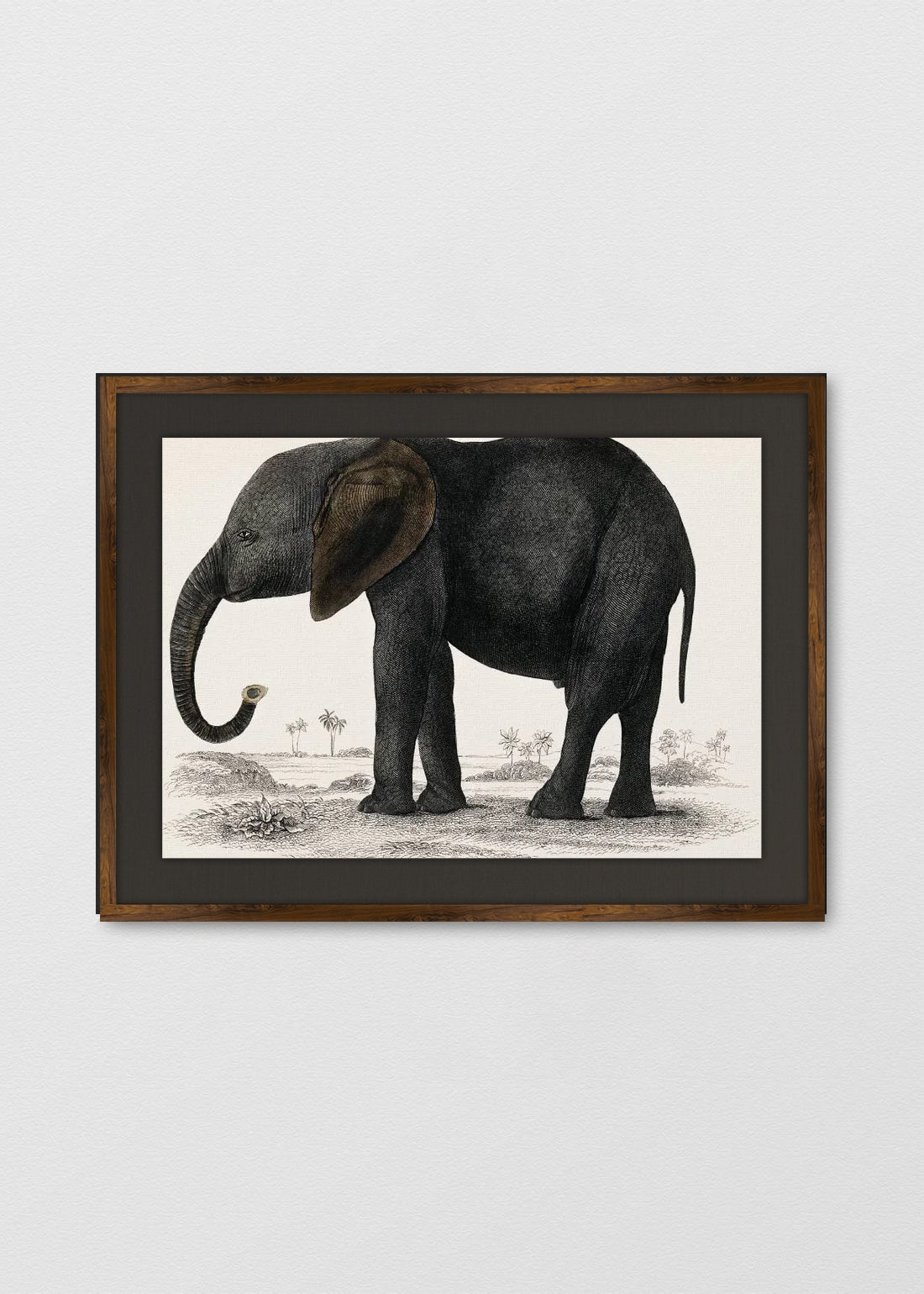 TINTE NOGAL LINO NEGRO