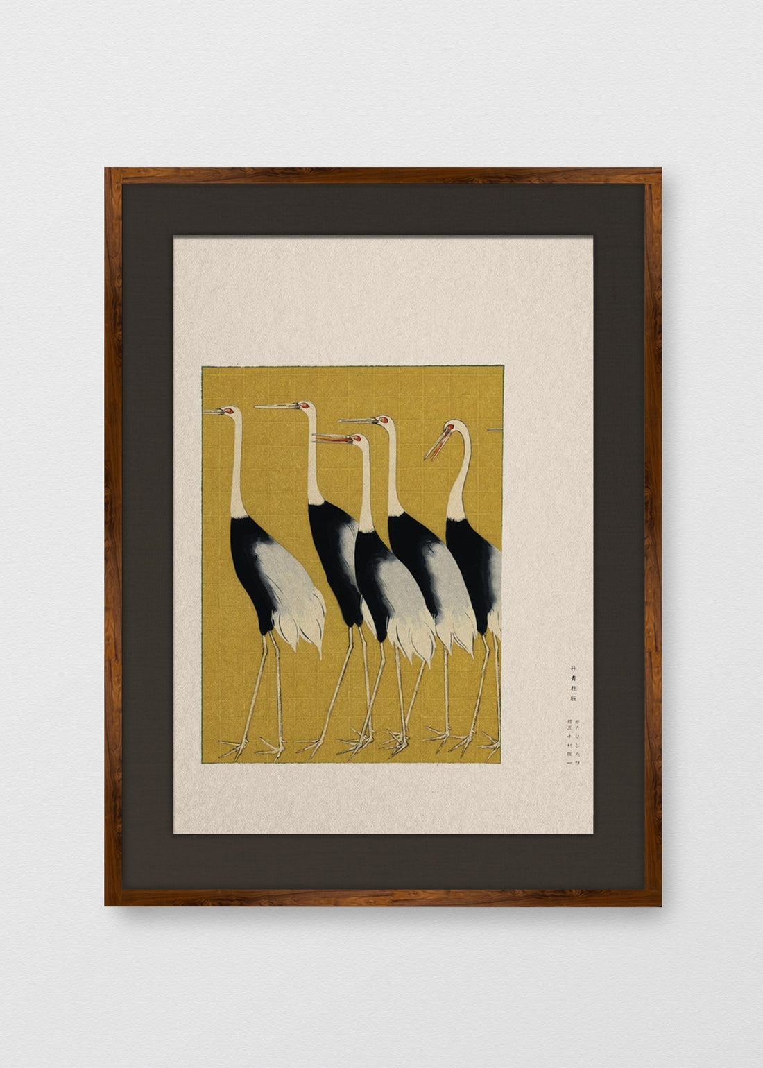 TINTE NOGAL LINO NEGRO