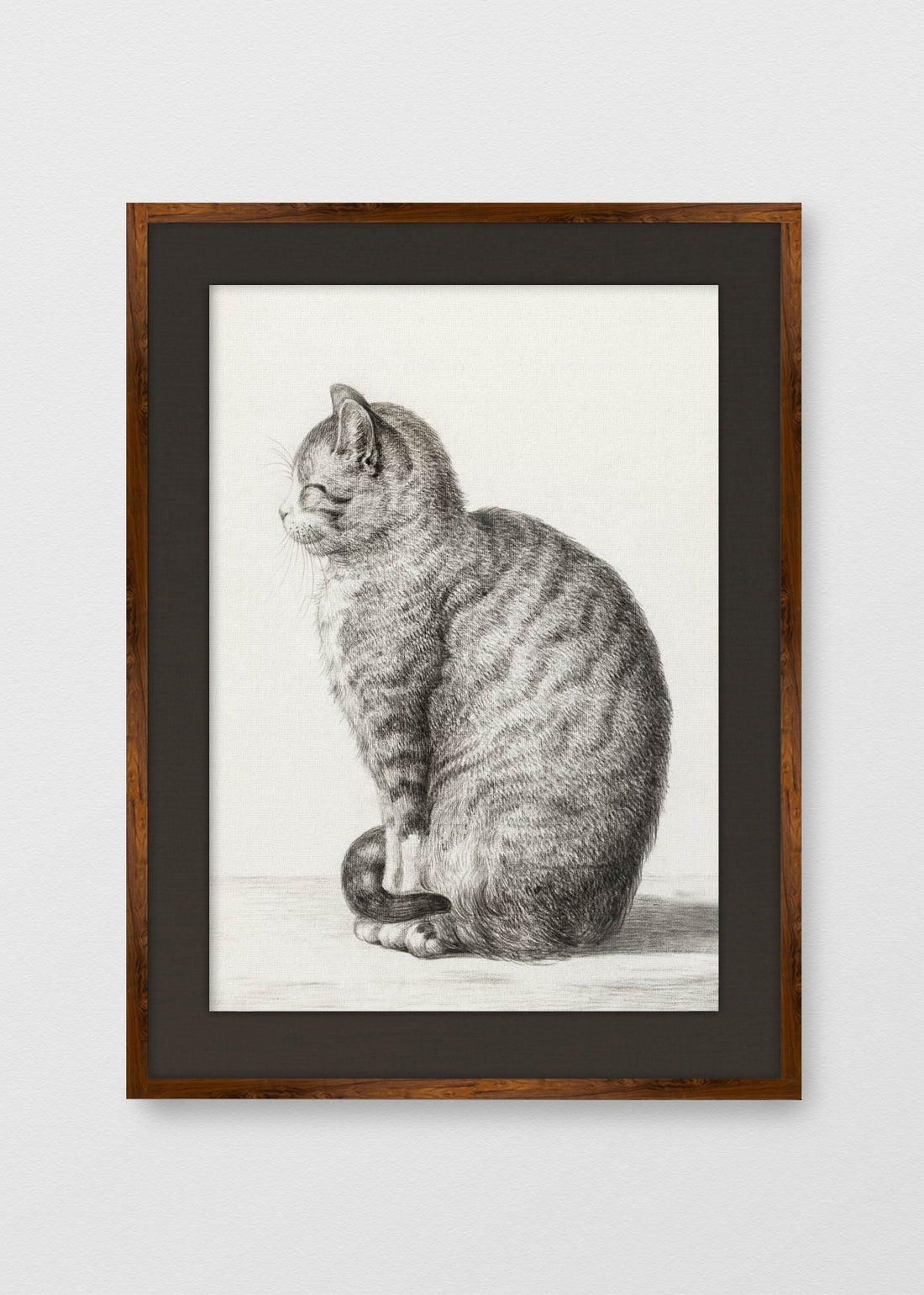 TINTE NOGAL LINO NEGRO