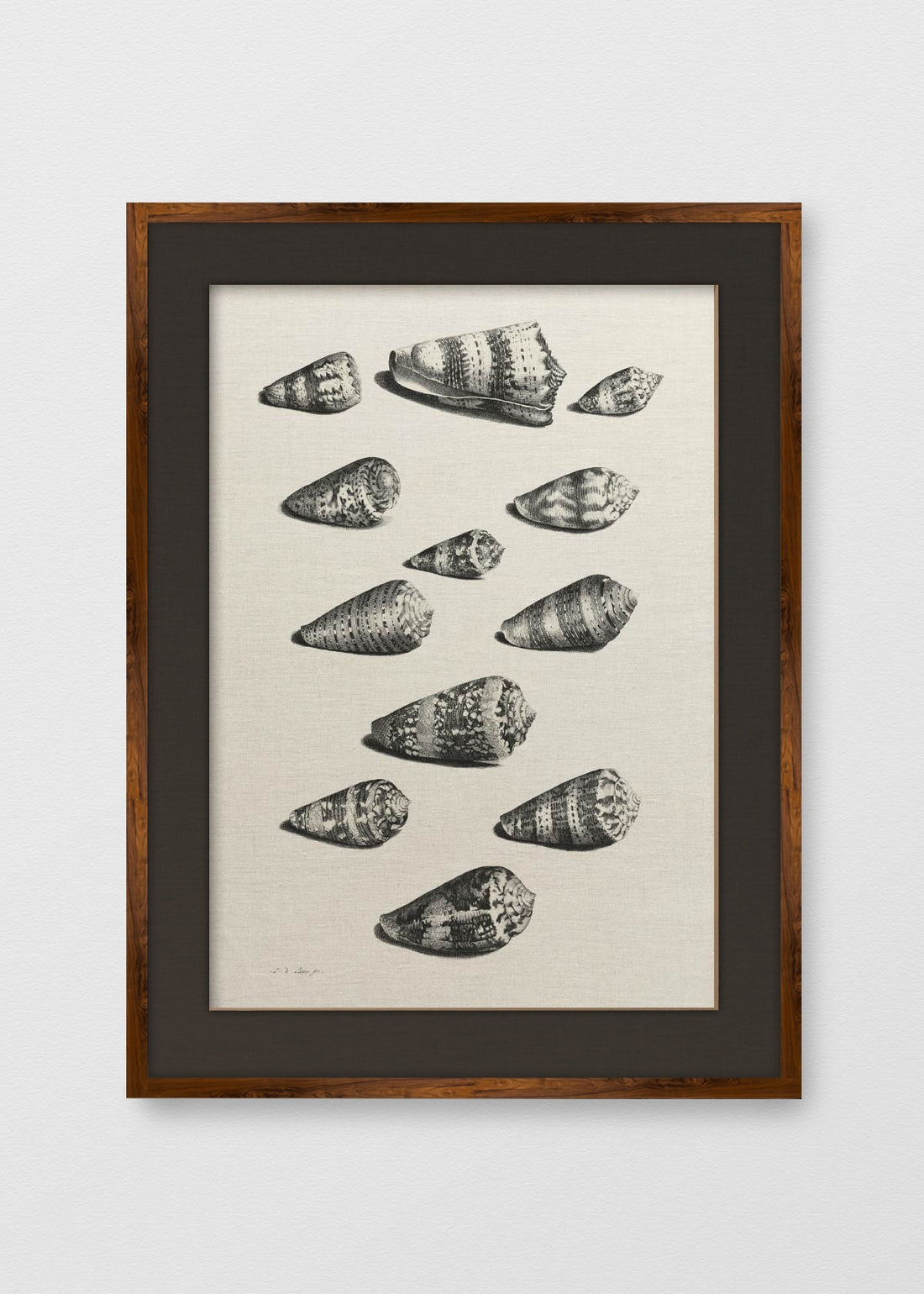 TINTE NOGAL LINO NEGRO