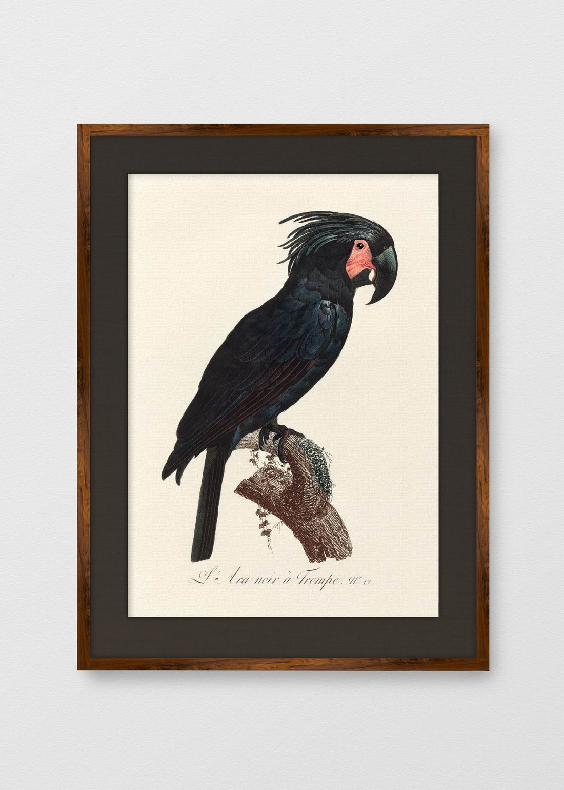 TINTE NOGAL LINO NEGRO
