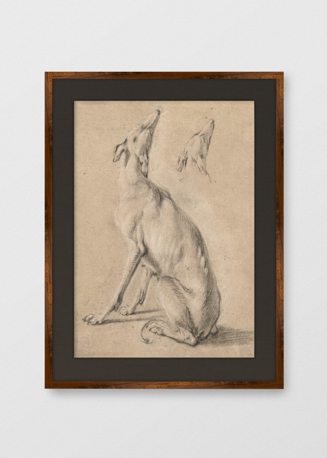 TINTE NOGAL LINO NEGRO