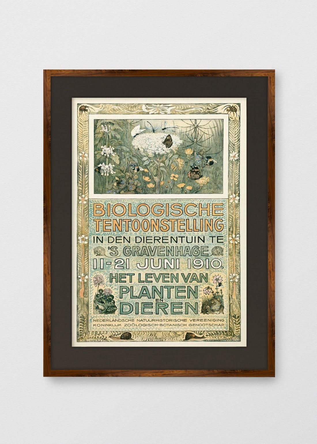 TINTE NOGAL LINO NEGRO