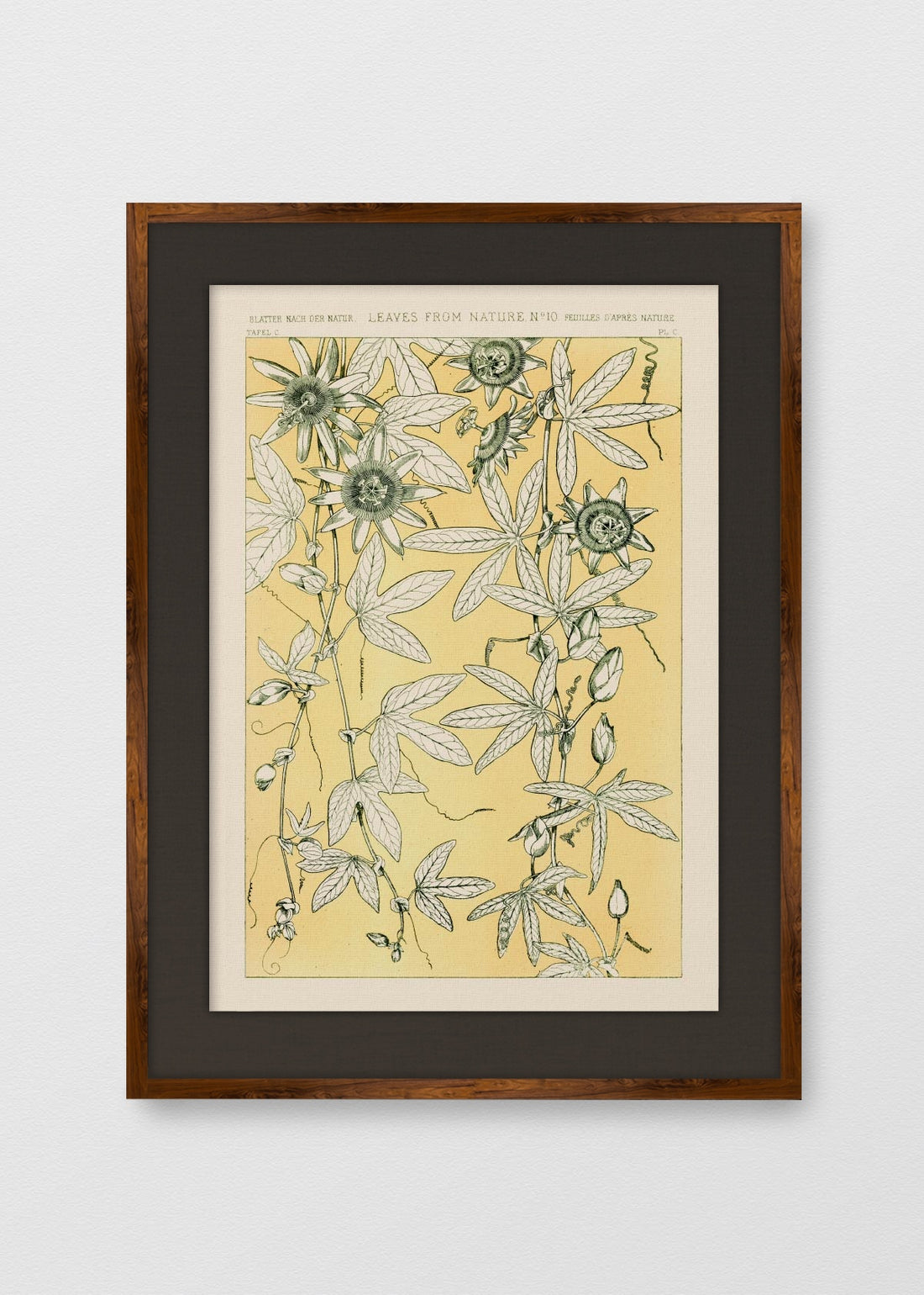 TINTE NOGAL LINO NEGRO