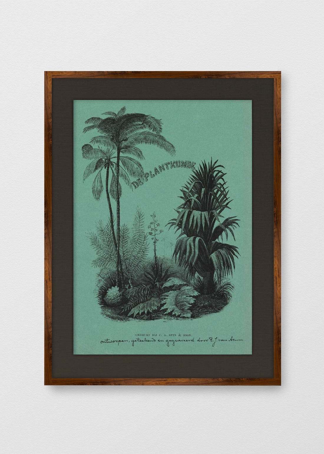 TINTE NOGAL LINO NEGRO