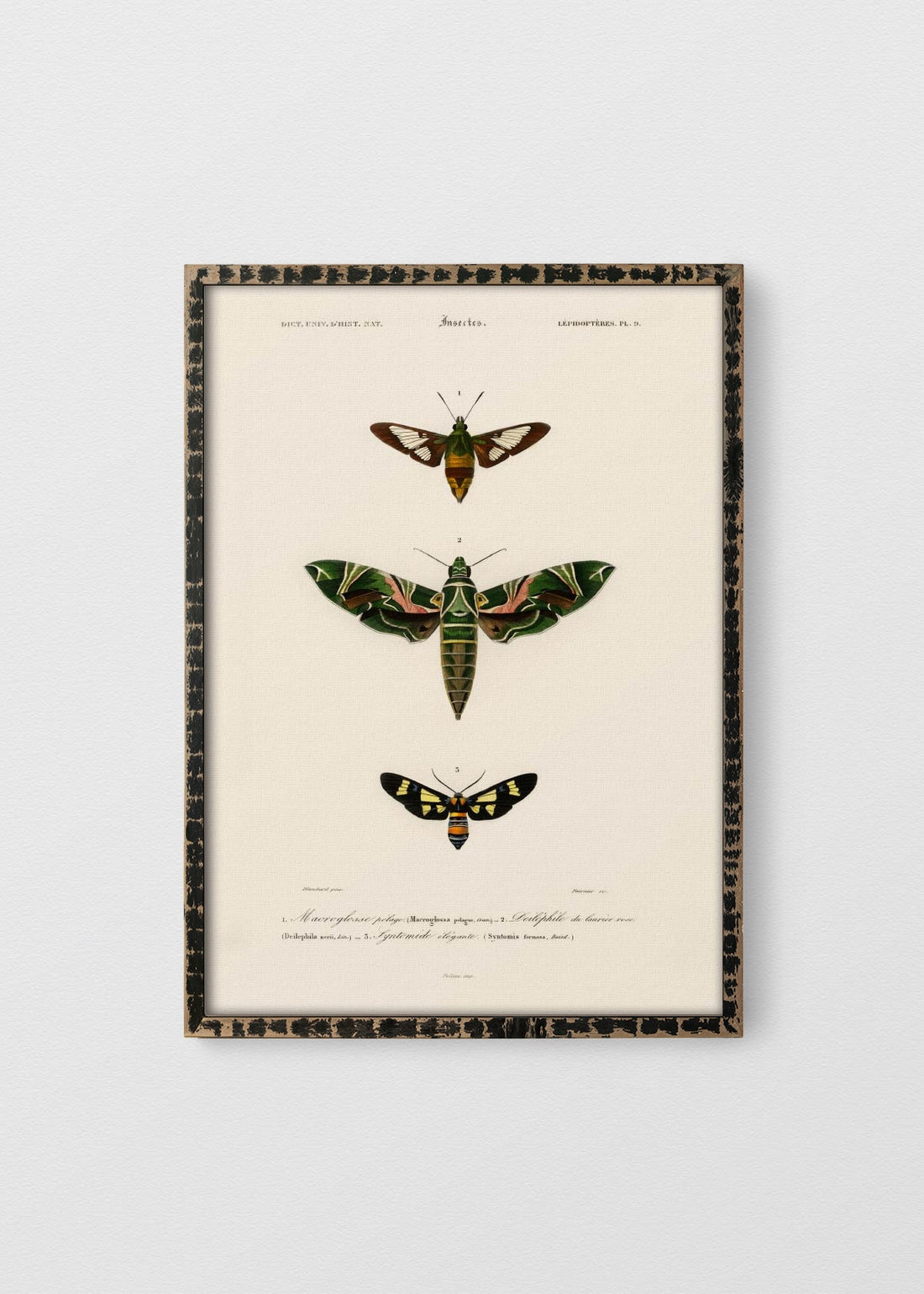 NEGRO RÚSTICO NO