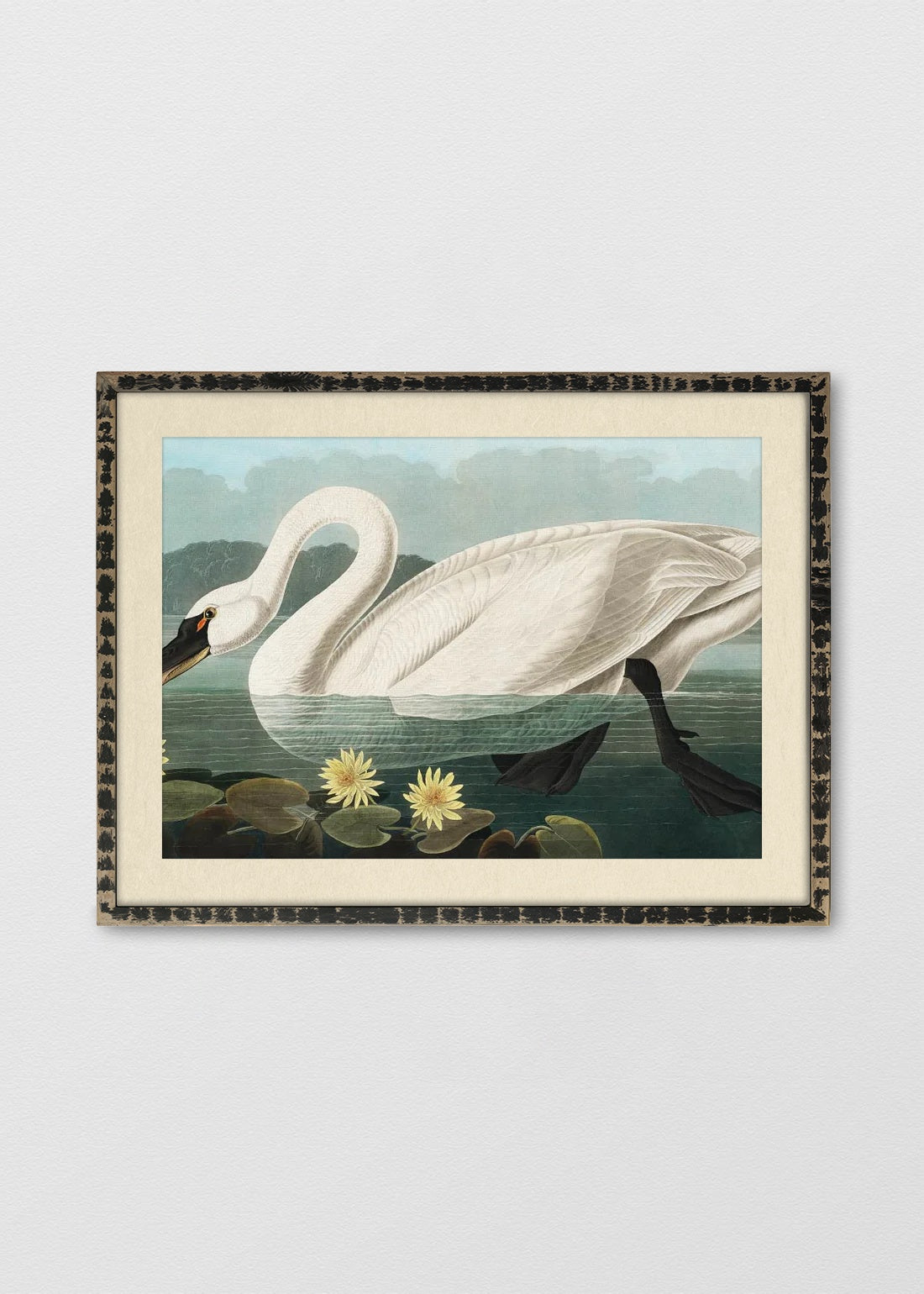 NEGRO RÚSTICO BLANCO INVIERNO