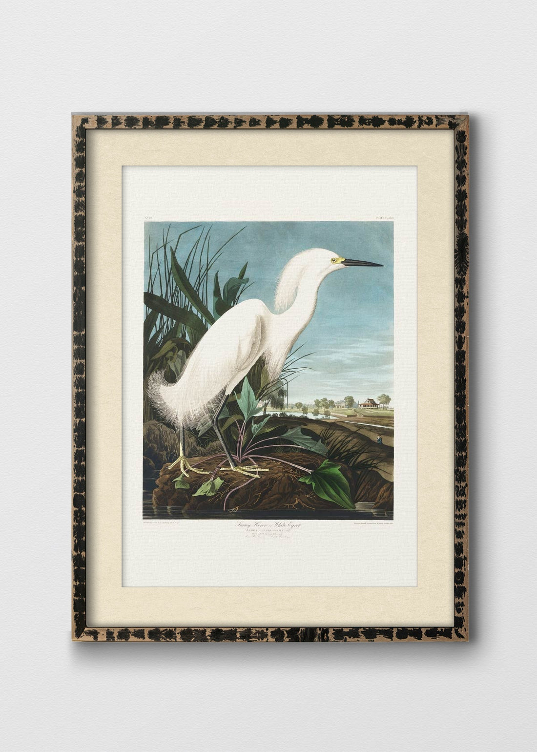 NEGRO RÚSTICO BLANCO INVIERNO