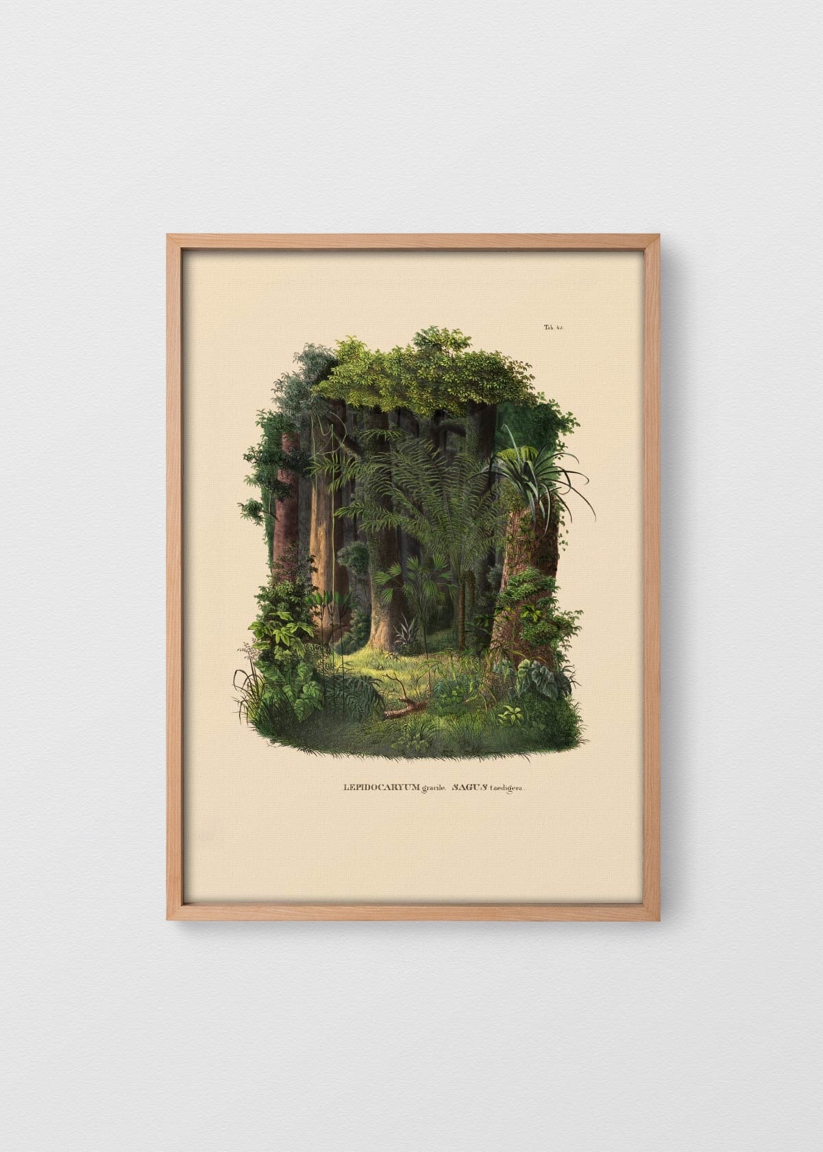 MAÑÍO NATURAL NO