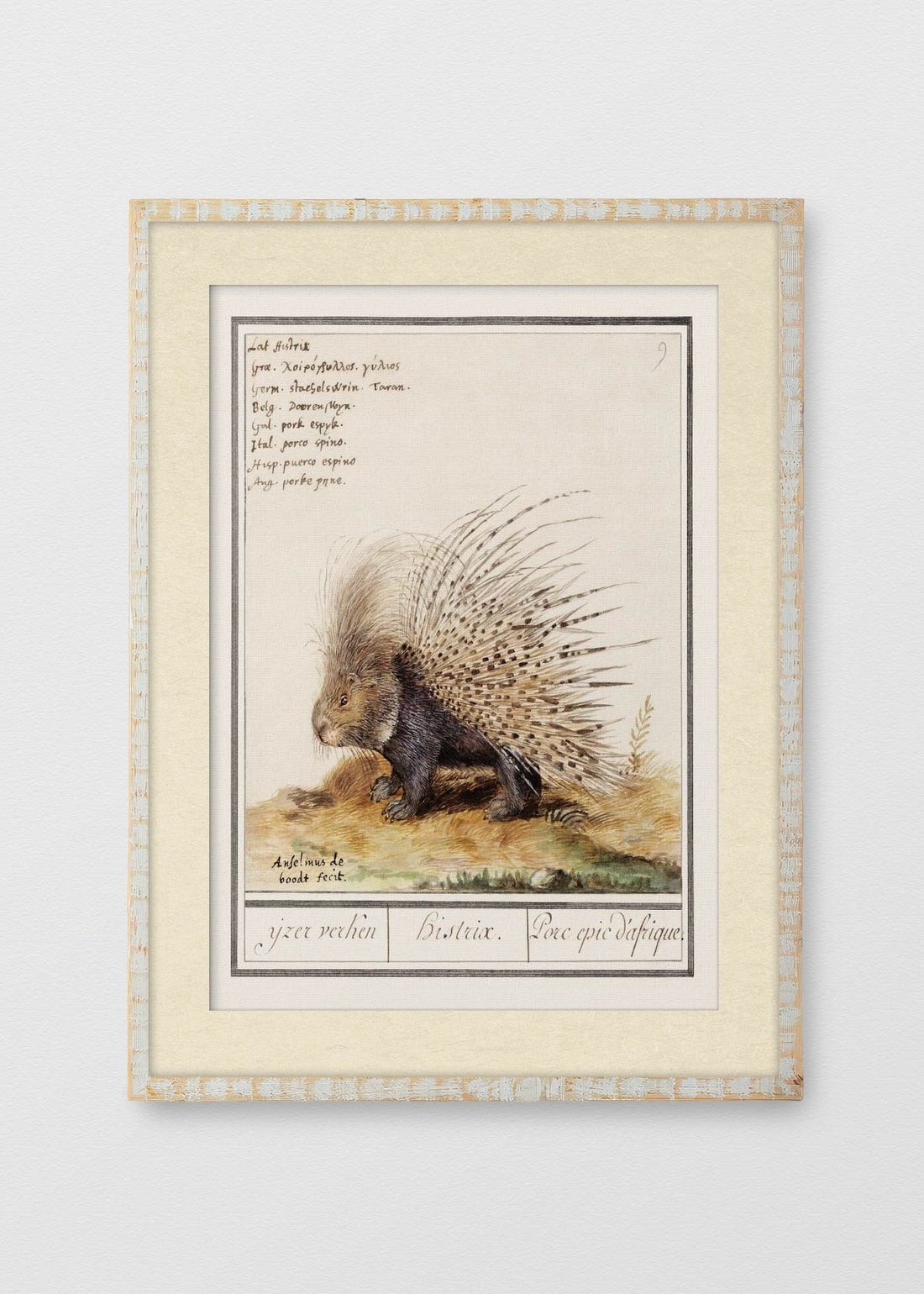 BLANCO RÚSTICO BLANCO INVIERNO