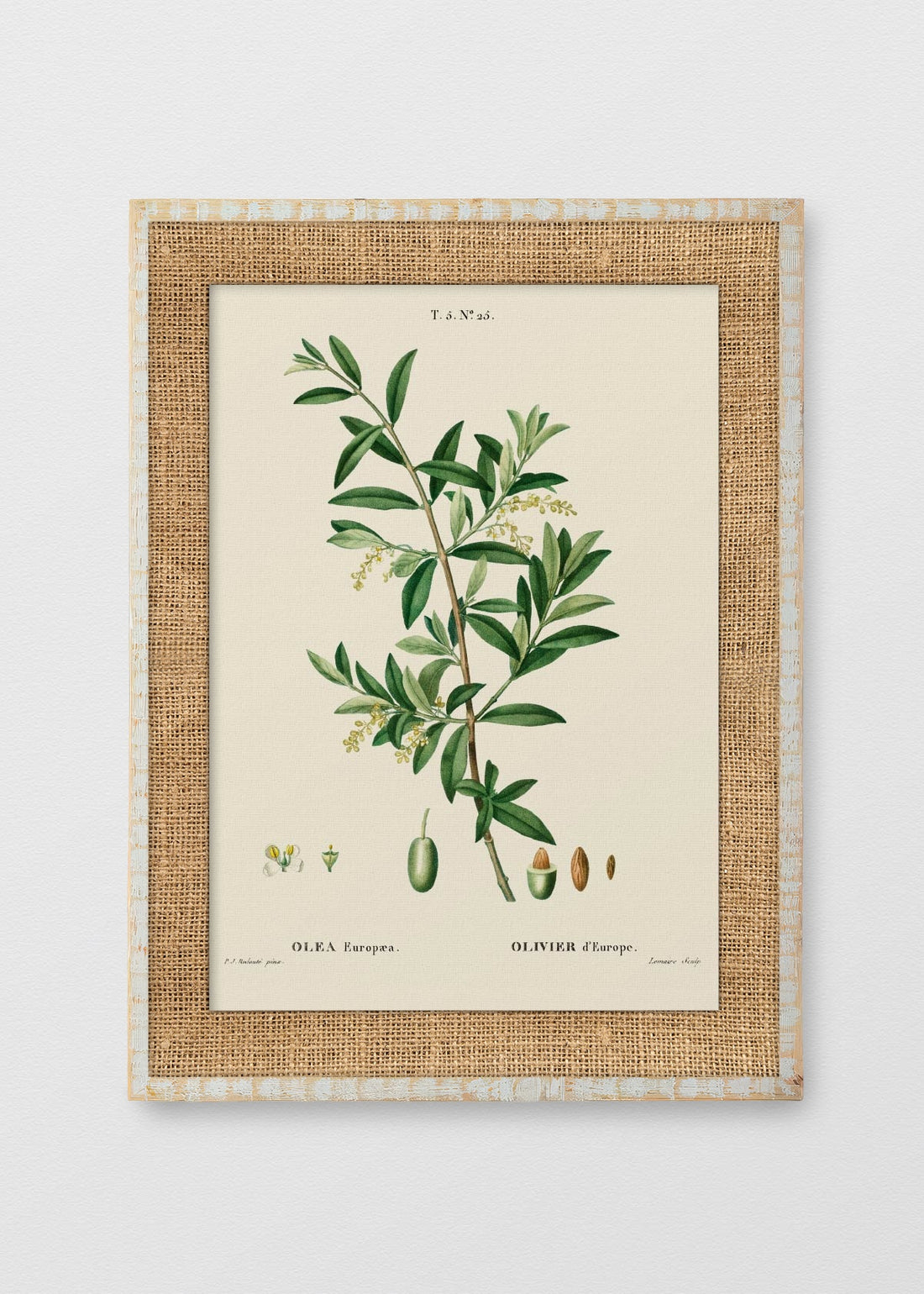 BLANCO RÚSTICO ARPILLERA