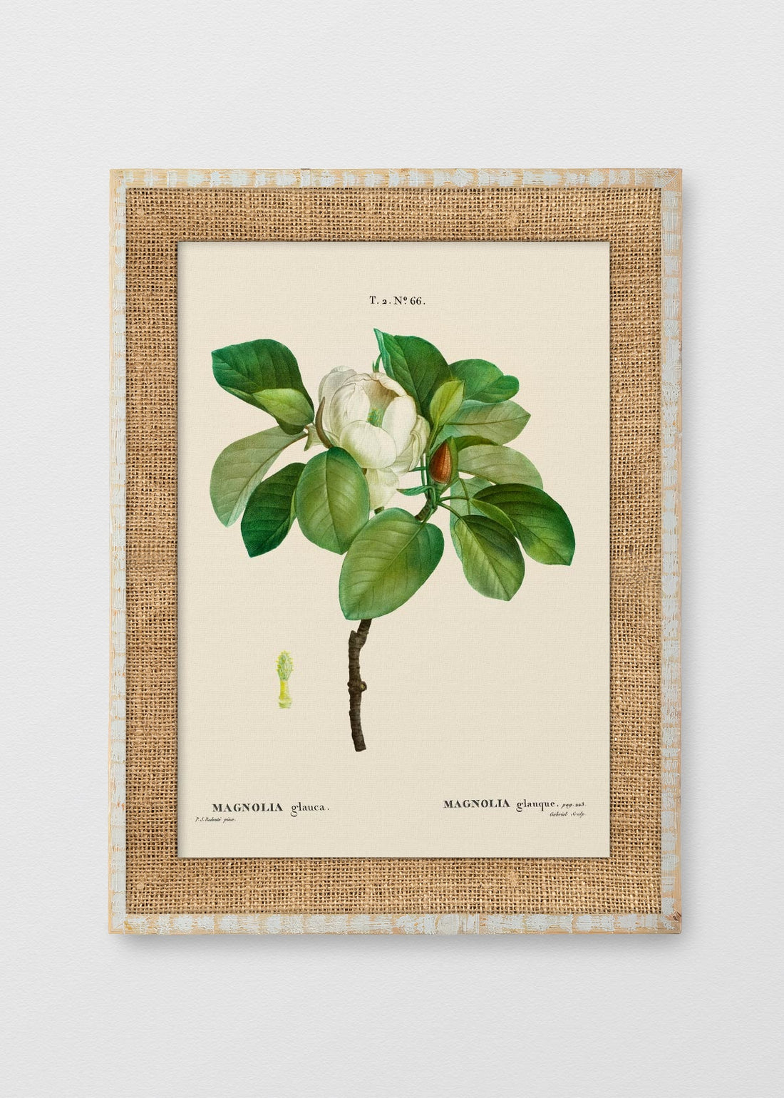 BLANCO RÚSTICO ARPILLERA