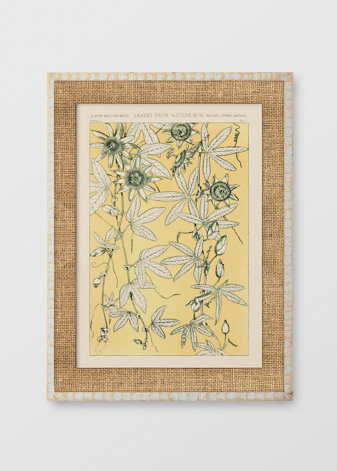 BLANCO RÚSTICO ARPILLERA