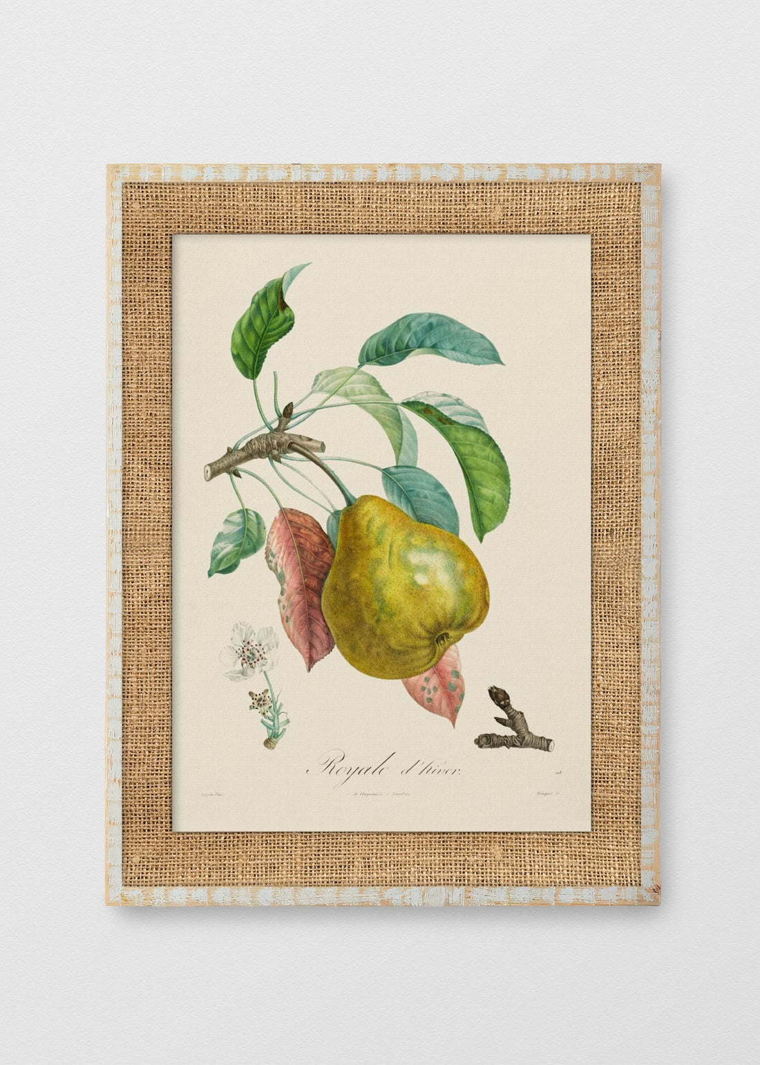 BLANCO RÚSTICO ARPILLERA