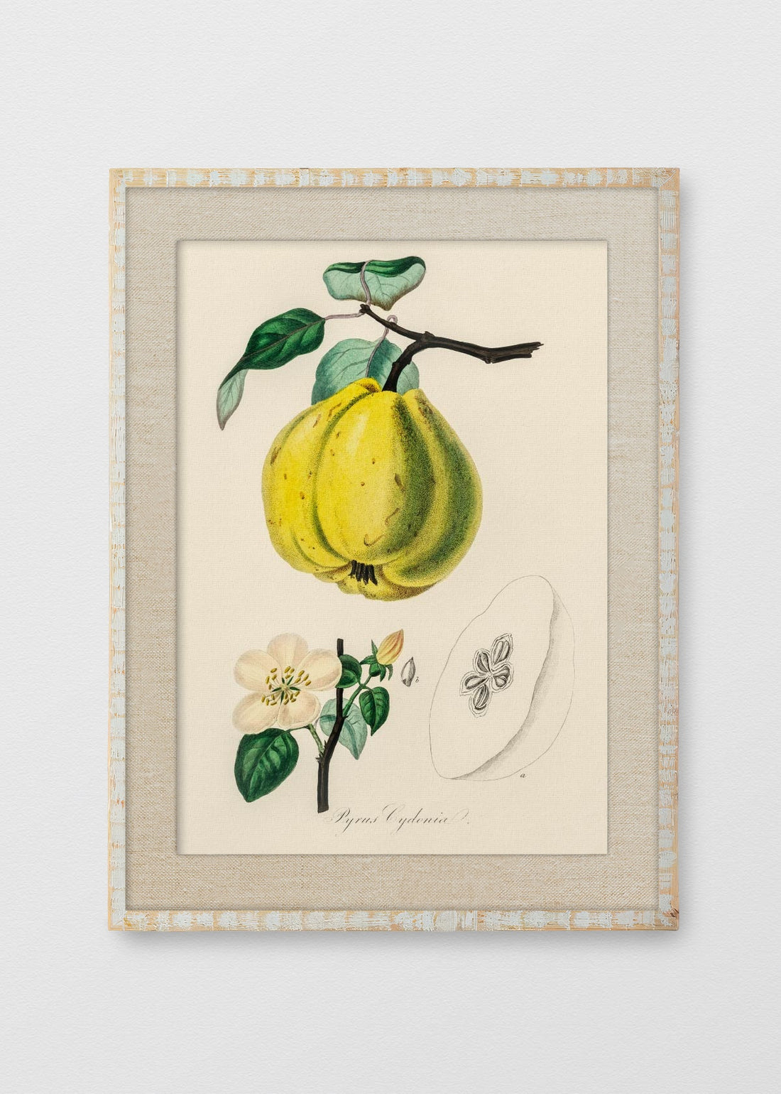 BLANCO RÚSTICO LINO CRUDO